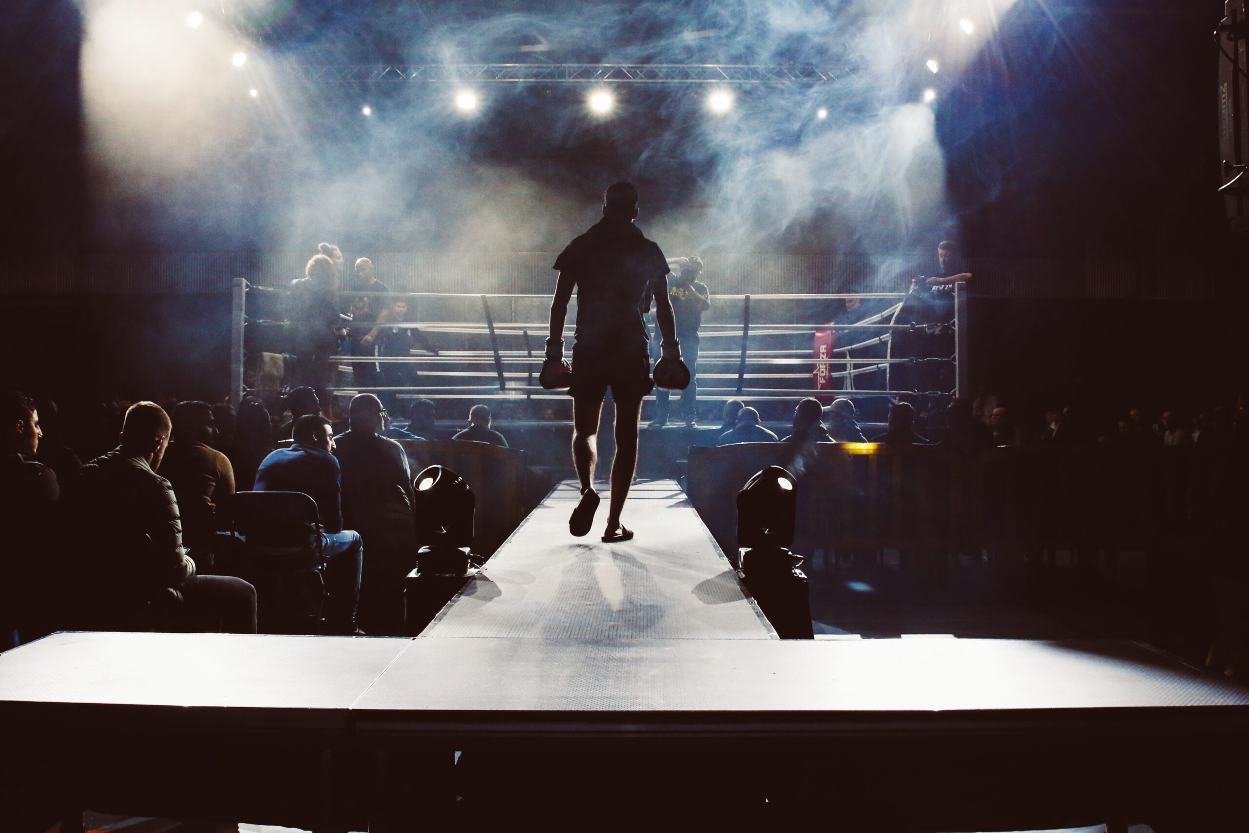 Boxer entering the ring.