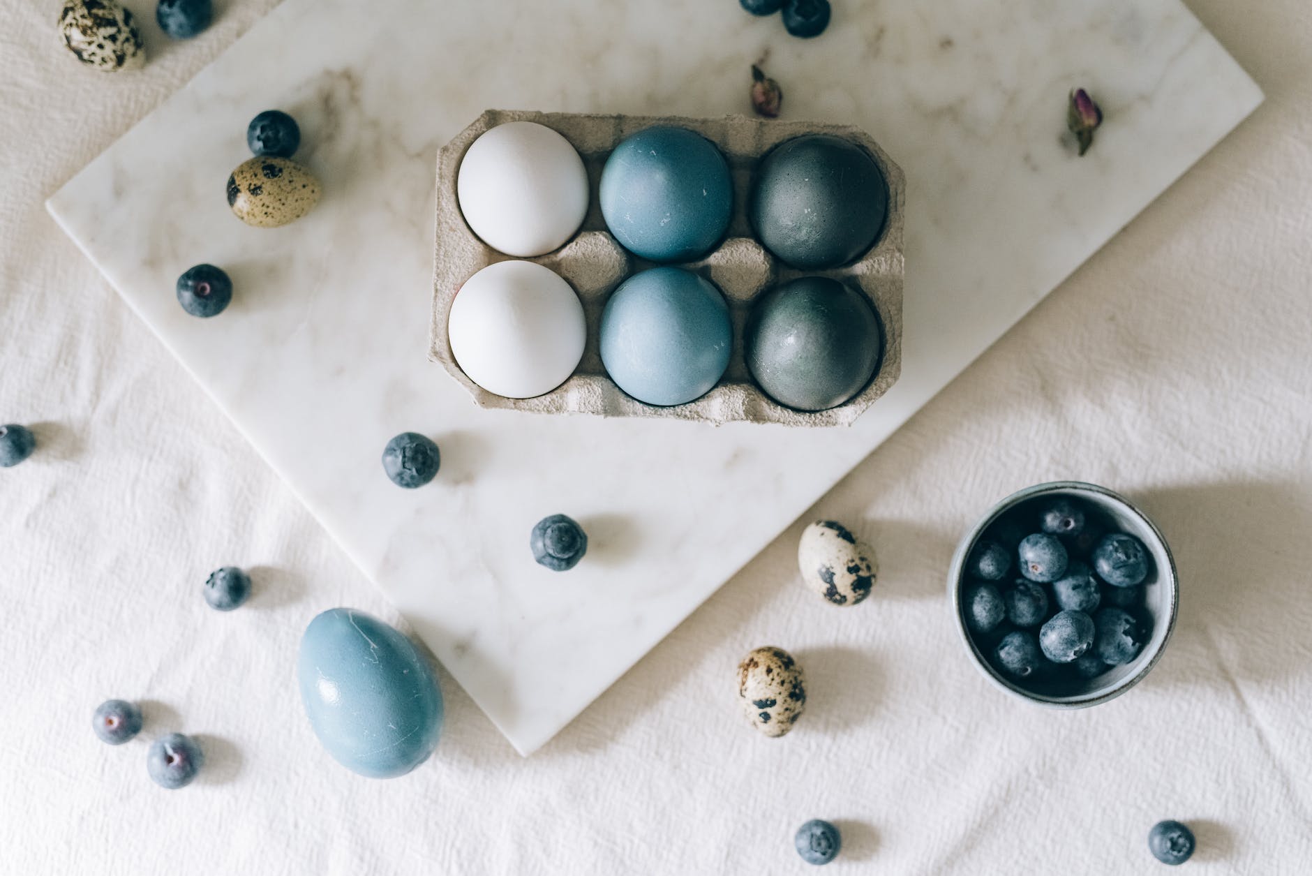 blue and white eggs in a carton